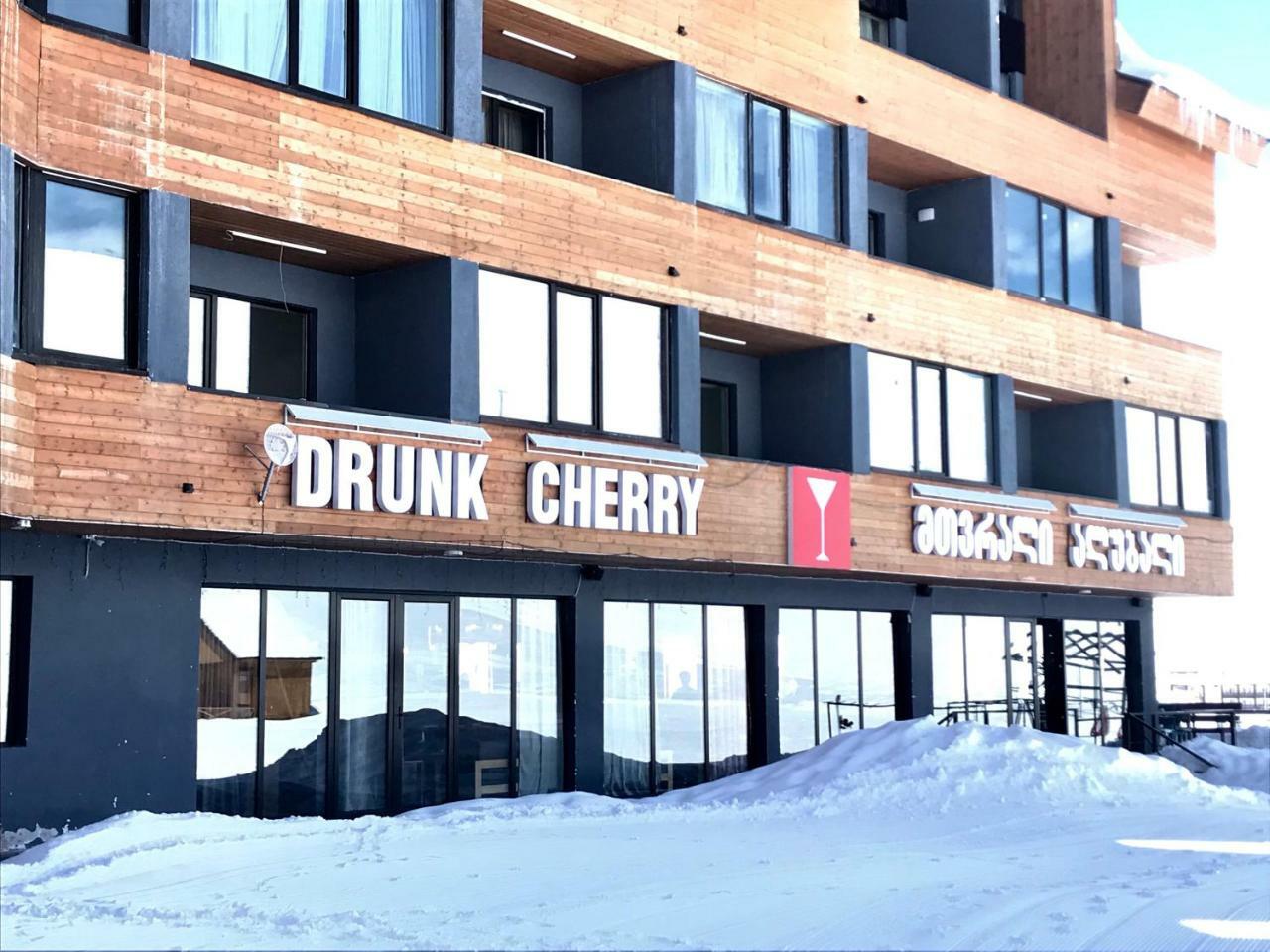 Comfortable Apartment, New Gudauri, Ski Resort المظهر الخارجي الصورة